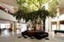 Foto - Aristoteles Holiday Resort & Spa ****