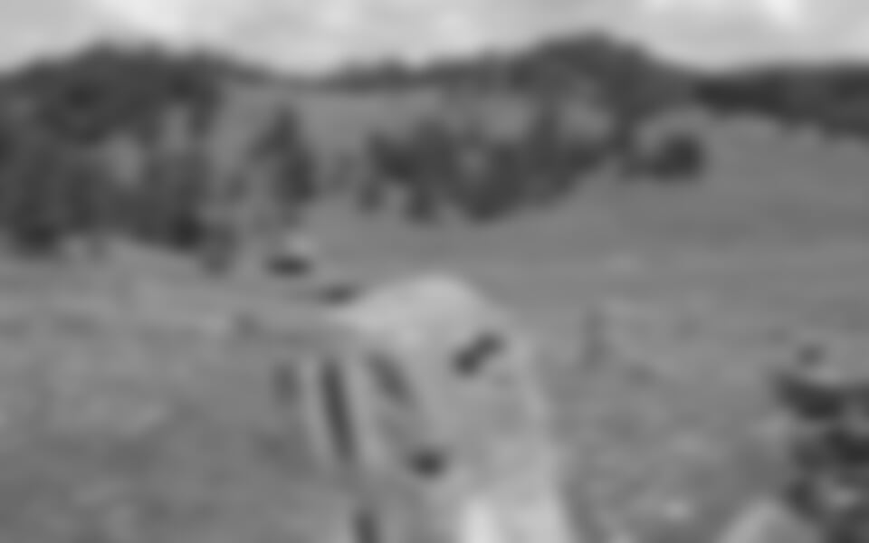 Apuseni, Bihor a Vlădeasa