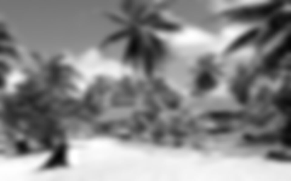 Tanzánie, Zanzibar - Silvestr na Zanzibaru*