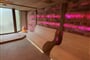21 Salt room