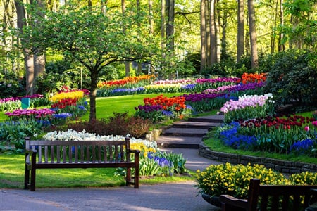 Keukenhof, Květinové korso