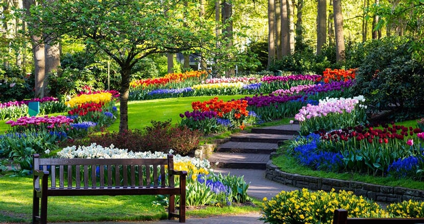 Keukenhof, Květinové korso