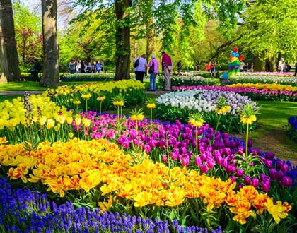 Keukenhof, Květinové korso