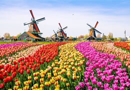 Holandsko Květinové korzo 2024, Amsterdam, Keukenhof, Rotterdam