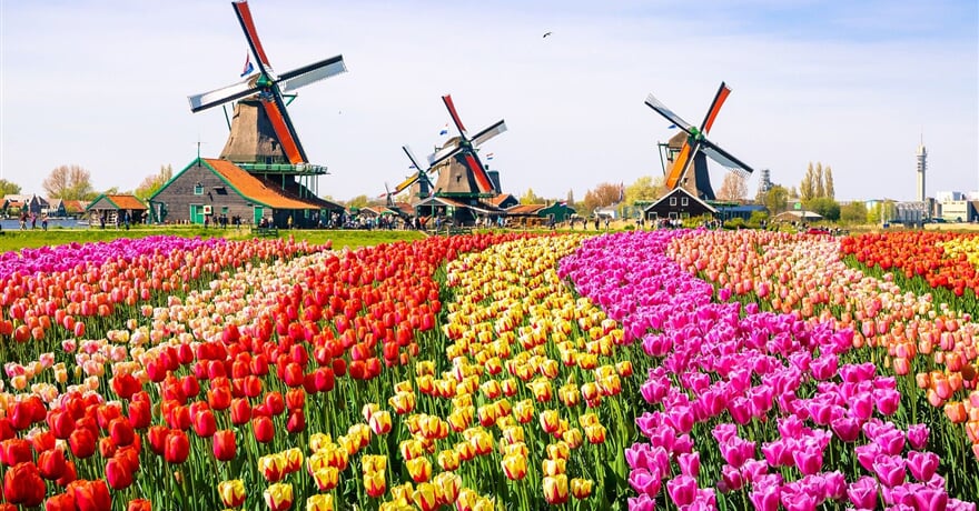 Keukenhof, Květinové korso