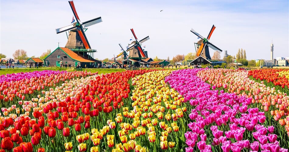 Keukenhof, Květinové korso