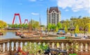 Rotterdam Květinové korso