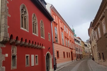 IMG 20230328 120602 (2)
