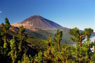 Tenerife   NP Teide