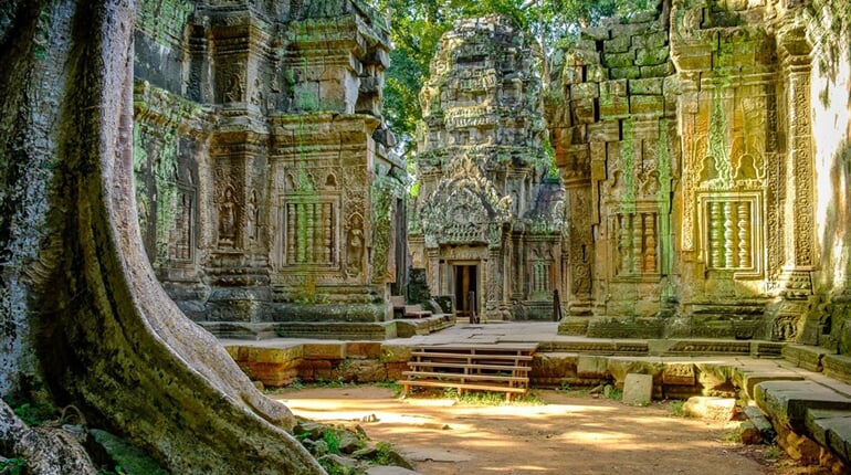 Poznávací zájezd Vietnam a Kambodža - Kambodža, Angkor, chrám Ta Prohm