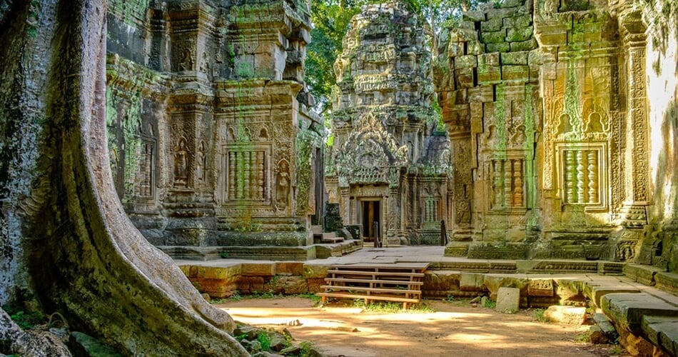 Poznávací zájezd Vietnam a Kambodža - Kambodža, Angkor, chrám Ta Prohm