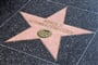 Los Angeles - Hollywoodský chodník= slávy