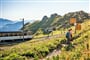 Ozubnicová železnice na Rochers de Naye - hory v okolí Ženevského jezera