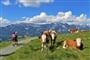 Kitzbühelské Alpy - zájezd s pohodovou turistikou lanovkami (1)