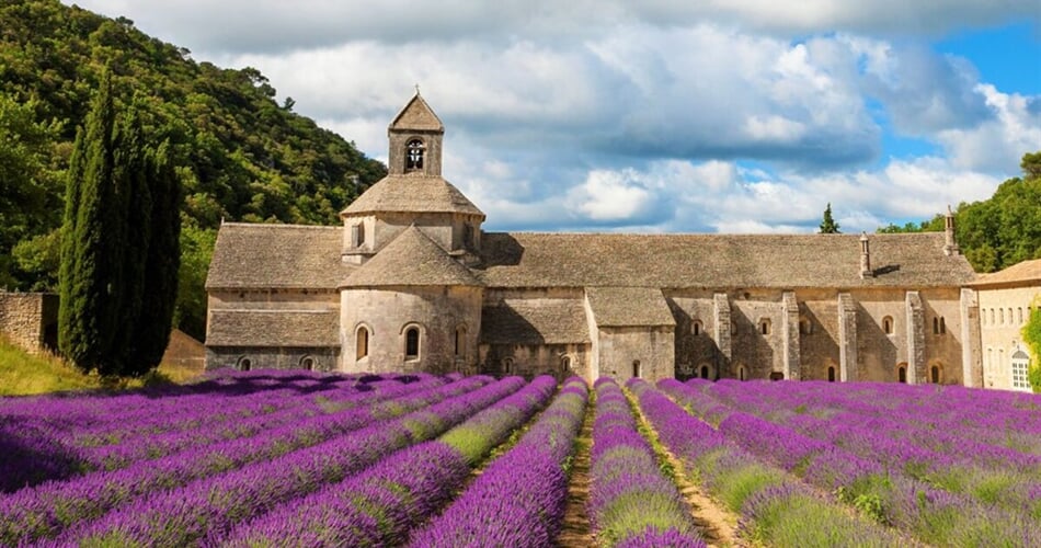 klaster-senanque-scaled-e1670741332180