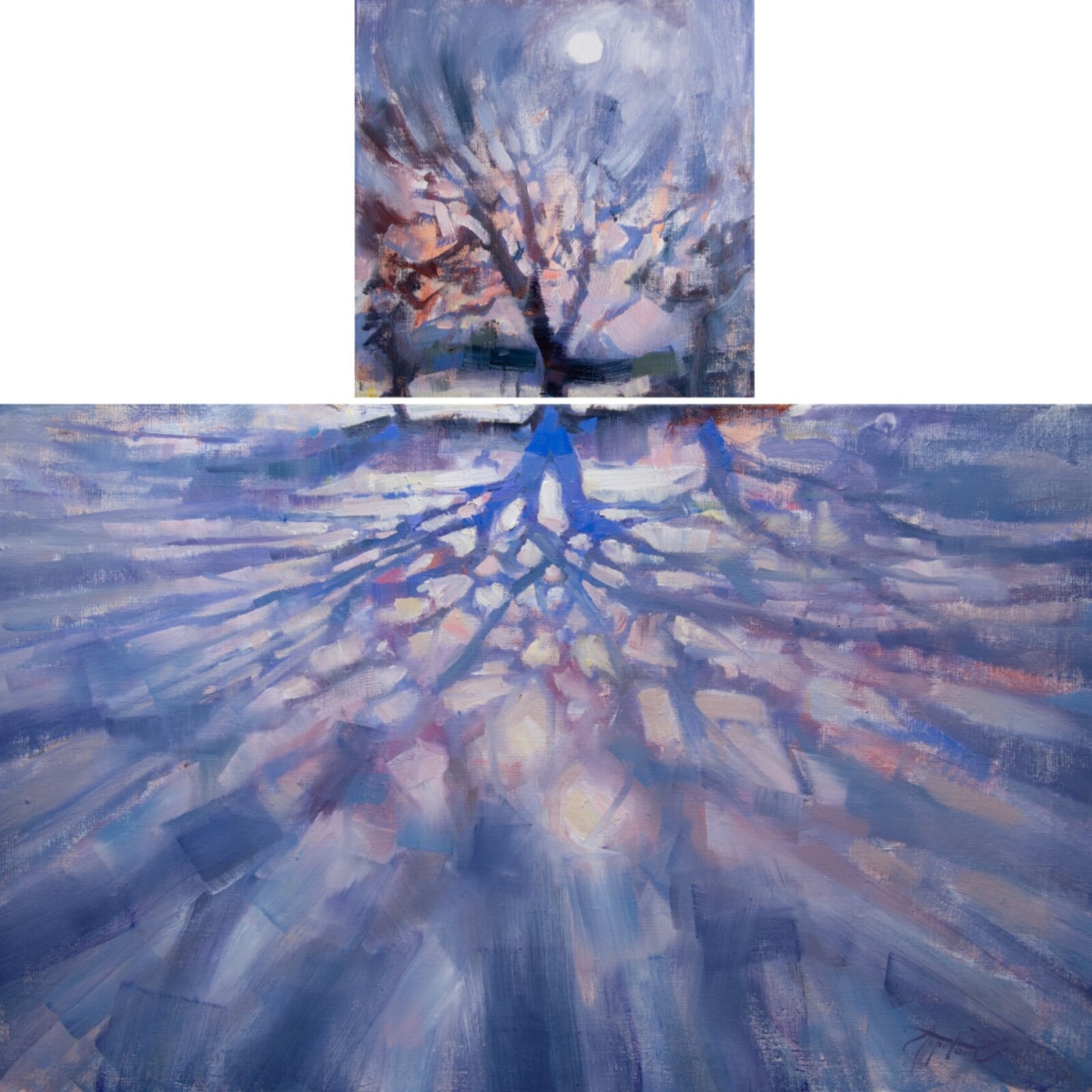 Adéla Topolová: Sněhové kořeny, 30 × 30 cm + 50 × 80 cm