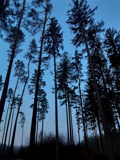 InShot 20230410 083314725