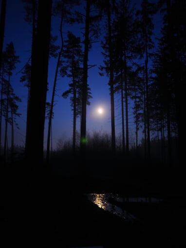 InShot 20230410 093339221