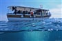 Foto - Ostrov Veliki Brijun - Neptun hotel ***