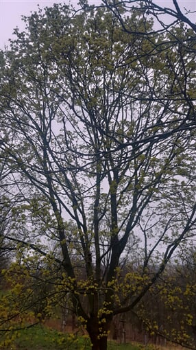 InShot 20230501 194418104