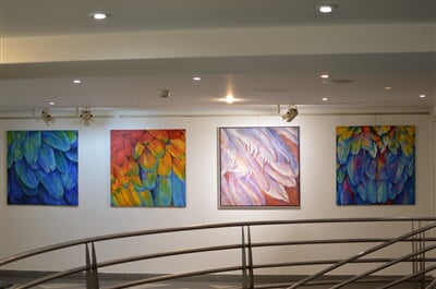 DSC 0504