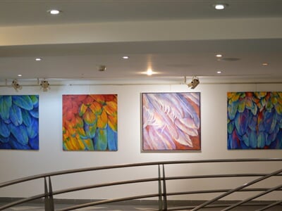 DSC 0504