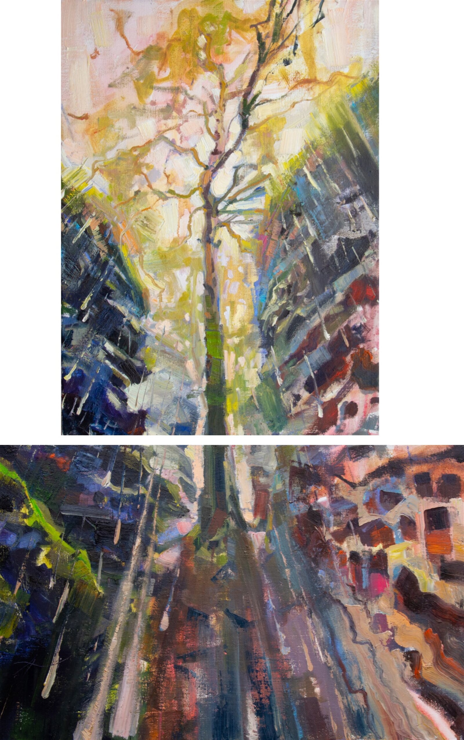 Adéla Topolová: Skalní déšť, 45 × 25 cm + 30 × 45 cm