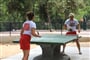 camp park soline