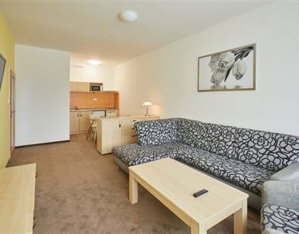 LLJ Behounek23 suite 028