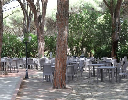 Bar v piniovém háji, Arborea, Sardinie