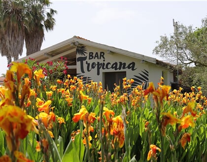 Bar Tropicana, Arborea, Sardinie
