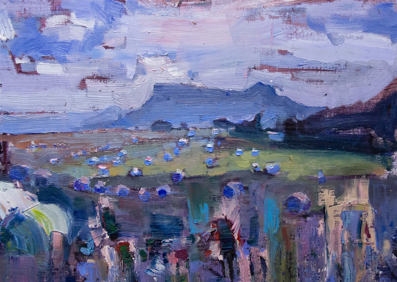 Adéla Topolová: Modré balíky, 24 × 30 cm
