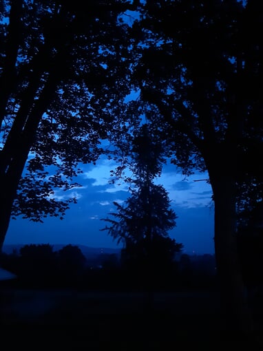 InShot 20230622 074839171