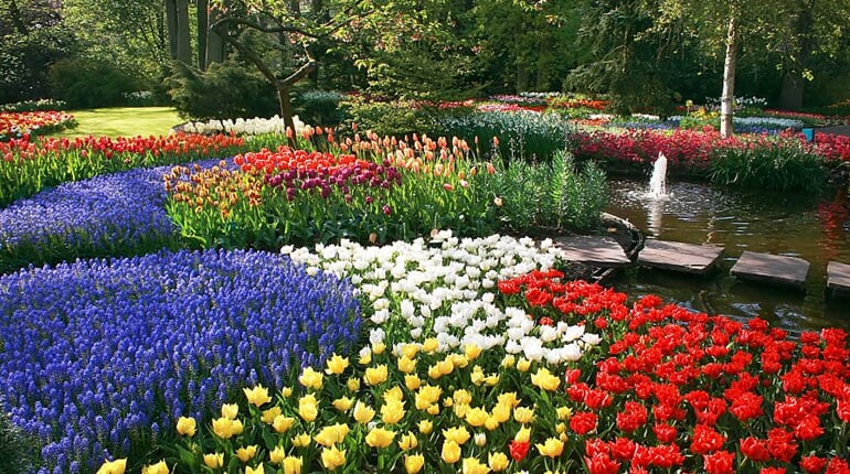 Foto - To nejlepší z Amsterdamu + KVĚTINOVÁ ZAHRADA KEUKENHOF + SLAVNÁ MUZEA (letecky z