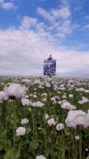 InShot 20230704 104144670