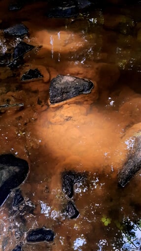 InShot 20230707 154716163