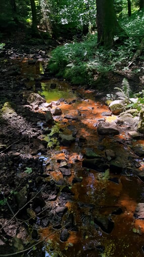 InShot 20230709 113108999