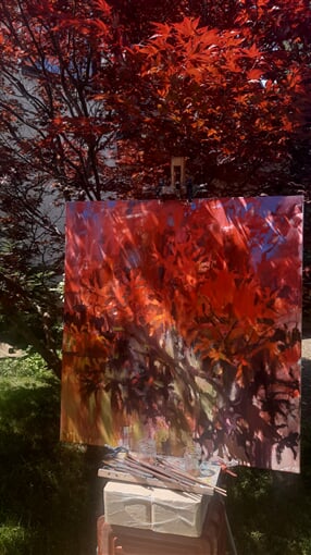 InShot 20230717 151446920