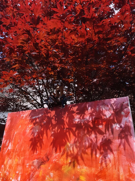 InShot 20230717 151529740