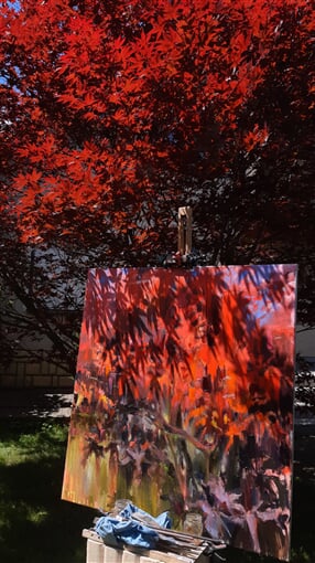 InShot 20230718 235154386