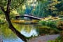 Polsko - Wroclav - Japonský most v botanické zahradě