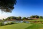 palmares golf