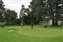 golf osycina 1