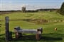 golf osycina