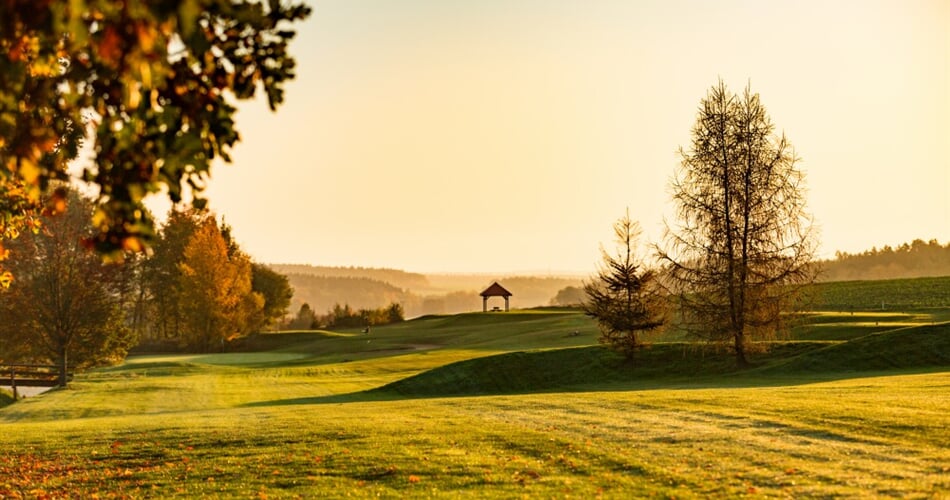 Golf Alfredov 1
