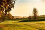 Golf Alfredov 1