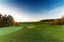 Golf Alfredov 5