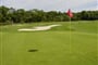 golf bitozeves