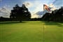 golf bechyne 4