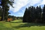 golf marianske lazne 5